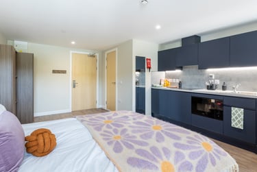 Deluxe Studio - Image 1